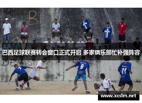 巴西足球联赛转会窗口正式开启 多家俱乐部忙补强阵容