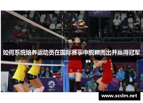 如何系统培养运动员在国际赛事中脱颖而出并赢得冠军