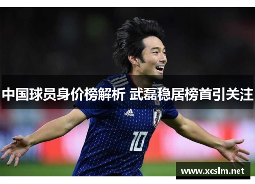 中国球员身价榜解析 武磊稳居榜首引关注