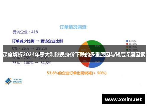 深度解析2024年意大利球员身价下跌的多重原因与背后深层因素 深度解析2024年意大利球员身价下跌的多重原因与背后深层因素