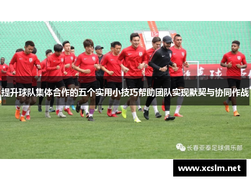 提升球队集体合作的五个实用小技巧帮助团队实现默契与协同作战