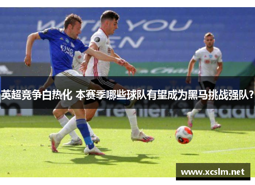 英超竞争白热化 本赛季哪些球队有望成为黑马挑战强队？