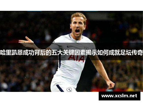 哈里凯恩成功背后的五大关键因素揭示如何成就足坛传奇