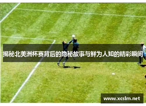 揭秘北美洲杯赛背后的隐秘故事与鲜为人知的精彩瞬间