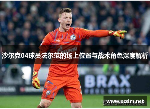 沙尔克04球员法尔范的场上位置与战术角色深度解析